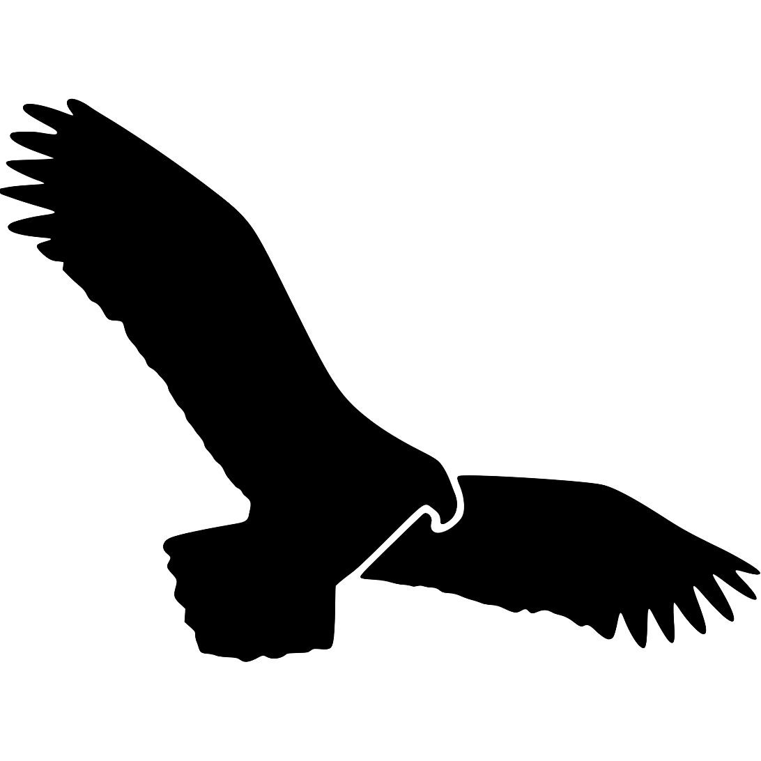 Nimbusec GmbH