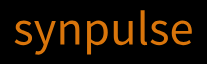 Synpulse Schweiz AG